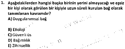 ÇGL3002 Çocukla İletişim çıkmış sınav sorusu 1