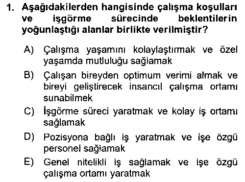 ISG207U İş Yaşaminda Risk Etmenleri Ve Yönetimsel Faktörler çıkmış sınav sorusu 1