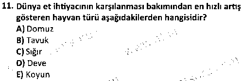 LAB1003 Zootekni ve Genetik çıkmış sınav sorusu 3