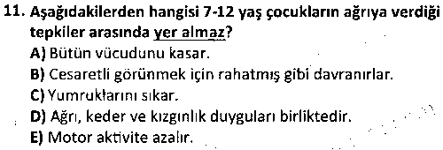 ÇGL3003 Çocuk, Hastalık ve Hastane çıkmış sınav sorusu 3