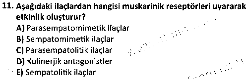 LAB2002 Veteriner Farmakoloji ve Toksikoloji çıkmış sınav sorusu 3