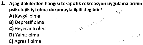 RKR4007 Terapötik Rekreasyon çıkmış sınav sorusu 1