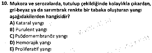 LAB2007 Veteriner Genel Patoloji çıkmış sınav sorusu 2