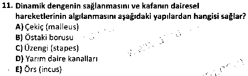 LAB1005 Veteriner Fizyoloji çıkmış sınav sorusu 3