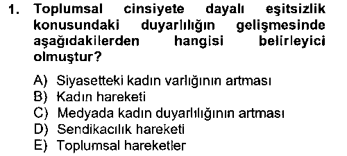 SOS304U Toplumsal Tabakalaşma ve Eşitsizlik çıkmış sınav sorusu 1