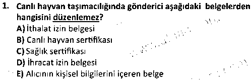 SHI2006 Yolcu ve Yer Hizmetleri çıkmış sınav sorusu 1