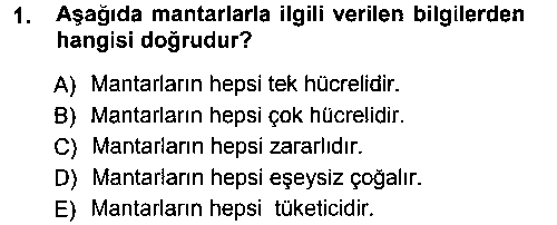 OKO303U Okulöncesinde Fen Eğitimi çıkmış sınav sorusu 1