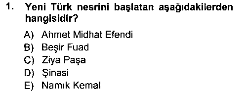 TDE403U Eleştiri Tarihi çıkmış sınav sorusu 1