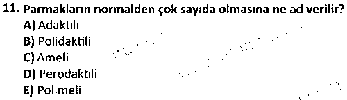 LAB2007 Veteriner Genel Patoloji çıkmış sınav sorusu 3