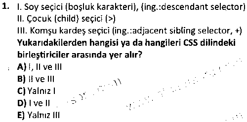WTK1008 Duyarlı Web Tasarımı çıkmış sınav sorusu 1