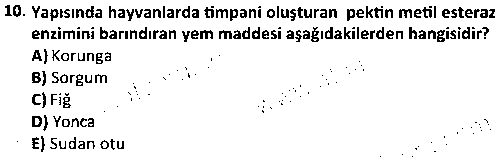 LAB2005 Yem Bilgisi ve Hayvan Besleme çıkmış sınav sorusu 2