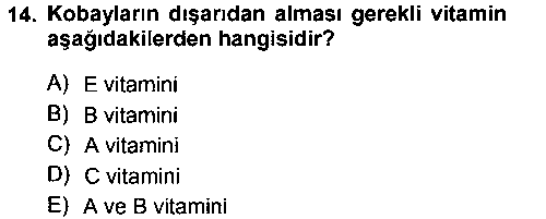 LBV204U Temel Klinik Bilgisi çıkmış sınav sorusu 2