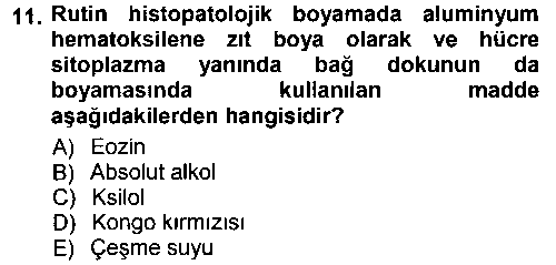 LBV207U Temel Veteriner Patoloji çıkmış sınav sorusu 3