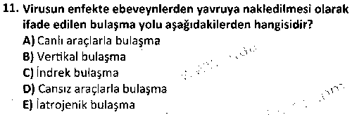 LAB2009 Temel Viroloji ve Viral Hastalıklar çıkmış sınav sorusu 3