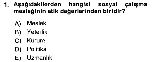 SHZ402U Sosyal Hizmet Uygulaması 2 çıkmış sınav sorusu 1