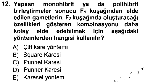 LBV105U Temel Veteriner Genetik çıkmış sınav sorusu 2