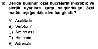 ANA103U İnsan Anatomisi Ve Fizyolojisi çıkmış sınav sorusu 2