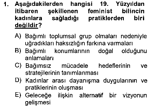 SOS310U Toplumsal Cinsiyet Çalışmaları çıkmış sınav sorusu 1