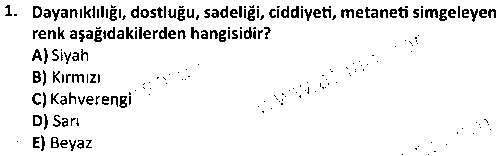 TMT1010 Renk Bilgisi çıkmış sınav sorusu 1