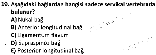 SPB1005 İnsan Anatomisi ve Kinesiyoloji çıkmış sınav sorusu 2
