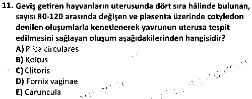 LAB1001 Veteriner Anatomi çıkmış sınav sorusu 3