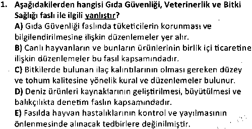 Avrupa Birliği ve Türkiye İlişkileri çıkmış sınav sorusu 1