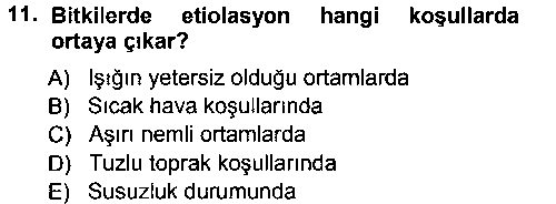 TRM207U Fitopatoloji çıkmış sınav sorusu 3