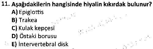 LAB1009 Veteriner Histoloji ve Embriyoloji çıkmış sınav sorusu 3