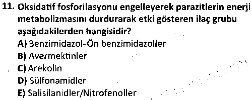 LAB1002 Veteriner Parazitoloji çıkmış sınav sorusu 3