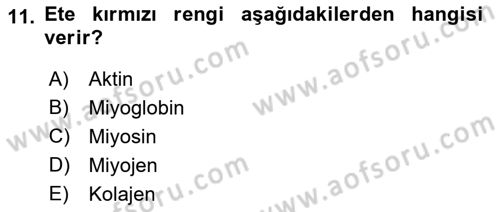 Temel Mutfak Teknikleri Dersi 2021 - 2022 Yılı (Vize) Ara Sınav Soruları 11. Soru