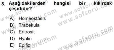 İnsan Anatomisi Ve Fizyolojisi Dersi 2015 - 2016 Yılı (Final) Dönem Sonu Sınav Soruları 8. Soru