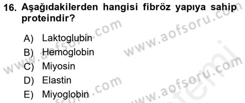 Beslenmenin Temel İlkeleri Dersi 2018 - 2019 Yılı (Vize) Ara Sınav Soruları 16. Soru