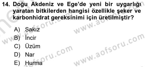 Gastronomi Tarihi Dersi 2024 - 2025 Yılı (Vize) Ara Sınav Soruları 14. Soru