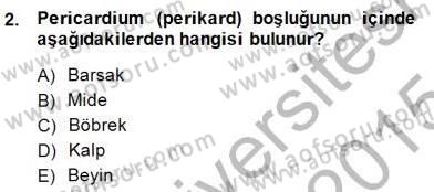İnsan Anatomisi Ve Fizyolojisi Dersi 2014 - 2015 Yılı (Final) Dönem Sonu Sınav Soruları 2. Soru