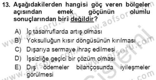 Göç Ve Göçmen Sorunları Dersi 2022 - 2023 Yılı Yaz Okulu Sınav Soruları 13. Soru