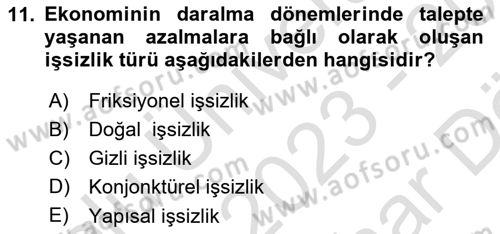 Afet Ekonomisi Ve Sigortacılığı Dersi 2023 - 2024 Yılı (Vize) Ara Sınav Soruları 11. Soru