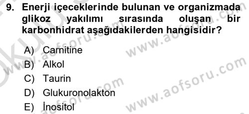İçecek Bilgisi Dersi 2023 - 2024 Yılı Yaz Okulu Sınav Soruları 9. Soru