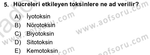 Kbrn Savunma Ve Güvenlik Dersi 2021 - 2022 Yılı Yaz Okulu Sınav Soruları 5. Soru