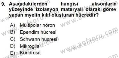 İnsan Anatomisi Ve Fizyolojisi Dersi 2015 - 2016 Yılı (Final) Dönem Sonu Sınav Soruları 9. Soru
