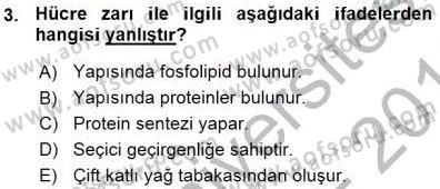 İnsan Anatomisi Ve Fizyolojisi Dersi 2015 - 2016 Yılı (Vize) Ara Sınav Soruları 3. Soru