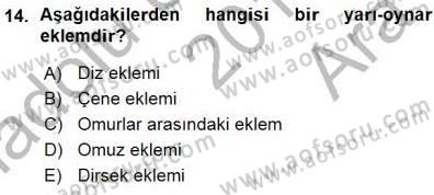 İnsan Anatomisi Ve Fizyolojisi Dersi 2015 - 2016 Yılı (Vize) Ara Sınav Soruları 14. Soru