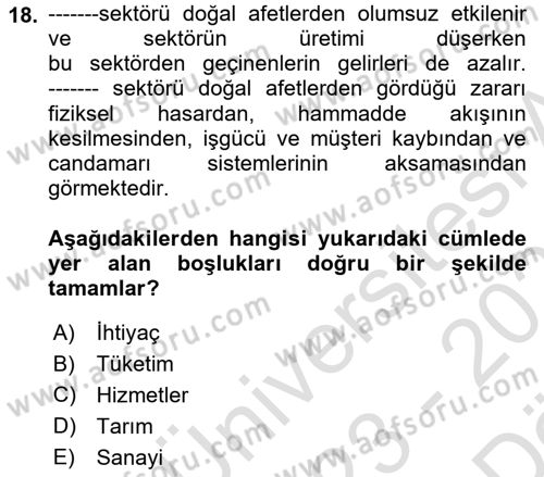 Afet Ekonomisi Ve Sigortacılığı Dersi 2023 - 2024 Yılı (Vize) Ara Sınav Soruları 18. Soru