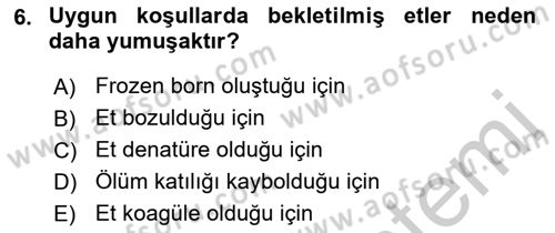 Beslenmenin Temel İlkeleri Dersi 2018 - 2019 Yılı Yaz Okulu Sınav Soruları 6. Soru