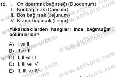 İnsan Anatomisi Ve Fizyolojisi Dersi 2013 - 2014 Yılı (Final) Dönem Sonu Sınav Soruları 15. Soru