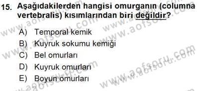 İnsan Anatomisi Ve Fizyolojisi Dersi 2015 - 2016 Yılı (Vize) Ara Sınav Soruları 15. Soru