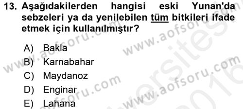 Gastronomi Tarihi Dersi 2015 - 2016 Yılı (Vize) Ara Sınav Soruları 13. Soru
