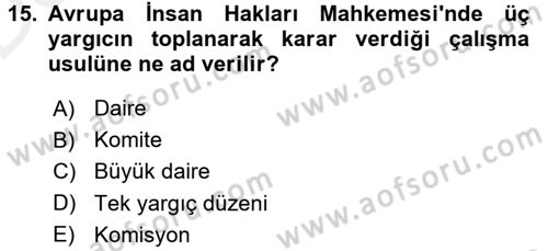 İnsan Hakları Ve Kamu Özgürlükleri Dersi 2015 - 2016 Yılı Tek Ders Sınav Soruları 15. Soru