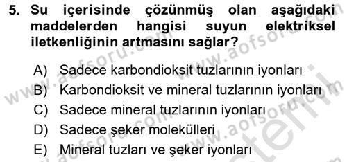 Beslenmenin Temel İlkeleri Dersi 2023 - 2024 Yılı (Final) Dönem Sonu Sınav Soruları 5. Soru
