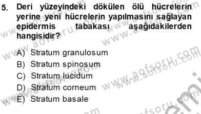İnsan Anatomisi Ve Fizyolojisi Dersi 2013 - 2014 Yılı (Final) Dönem Sonu Sınav Soruları 5. Soru