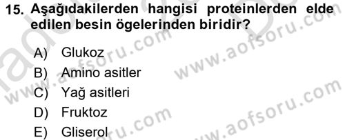 Beslenmenin Temel İlkeleri Dersi 2016 - 2017 Yılı (Final) Dönem Sonu Sınav Soruları 15. Soru